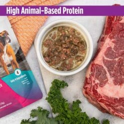 Nulo FreeStyle Beef, Beef Liver, & Kale In Broth Dog Food Topper 12 Nulo FreeStyle Beef, Beef Liver, & Kale In Broth Dog Food Topper -Snuggle Paws 209727 PT2. AC SS1800 V1666733687