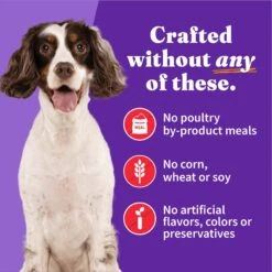 Halo Holistic Beef Recipe In Broth Adult Wet Dog Food 15 Halo Holistic Beef Recipe In Broth Adult Wet Dog Food -Snuggle Paws 209769 PT4. AC SS1800 V1698766660