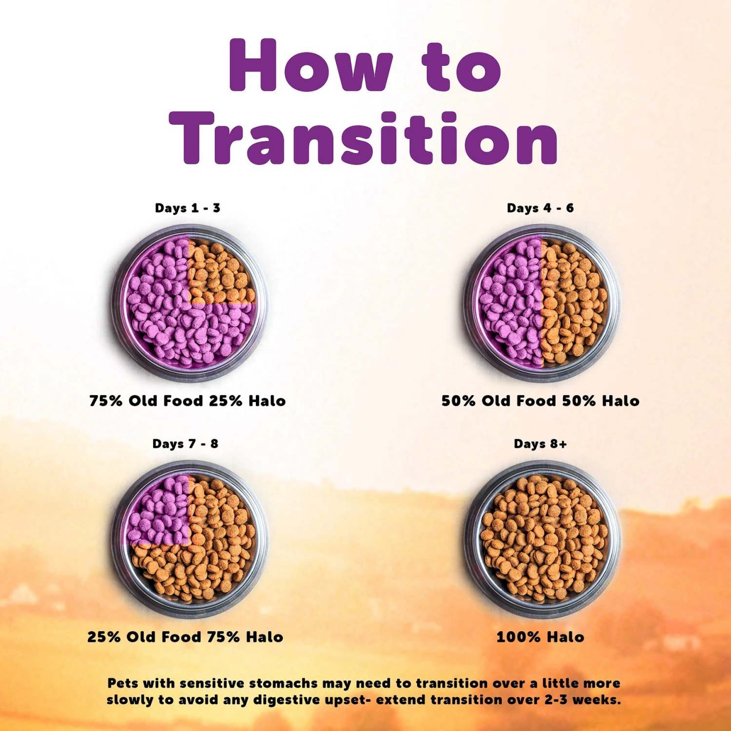 Halo Holistic Beef Recipe In Broth Adult Wet Dog Food 11 Halo Holistic Beef Recipe In Broth Adult Wet Dog Food - Image 9