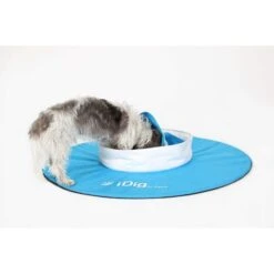 IFetch IDig Go Dog Toy, Blue 10 IFetch IDig Go Dog Toy, Blue -Snuggle Paws 213248 PT2. AC SS1800 V1575486216