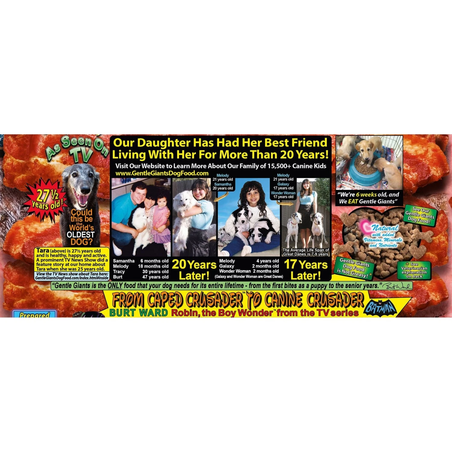 Gentle Giants Natural Non-GMO Dog & Puppy Beef & Bacon Dry Dog Food, 24-lb Bag 5 Gentle Giants Natural Non-GMO Dog & Puppy Beef & Bacon Dry Dog Food, 24-lb Bag - Image 3