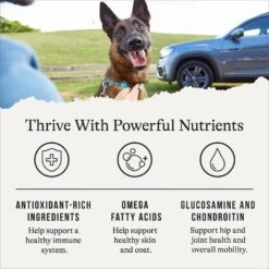 American Journey Protein & Grains Senior Salmon, Brown Rice & Vegetables Recipe Dry Dog Food, 28-lb Bag 15 American Journey Protein & Grains Senior Salmon, Brown Rice & Vegetables Recipe Dry Dog Food, 28-lb Bag -Snuggle Paws 214831 PT4. AC SS1800 V1668737517