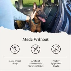 American Journey Protein & Grains Senior Salmon, Brown Rice & Vegetables Recipe Dry Dog Food, 28-lb Bag 17 American Journey Protein & Grains Senior Salmon, Brown Rice & Vegetables Recipe Dry Dog Food, 28-lb Bag -Snuggle Paws 214831 PT6. AC SS1800 V1680624917