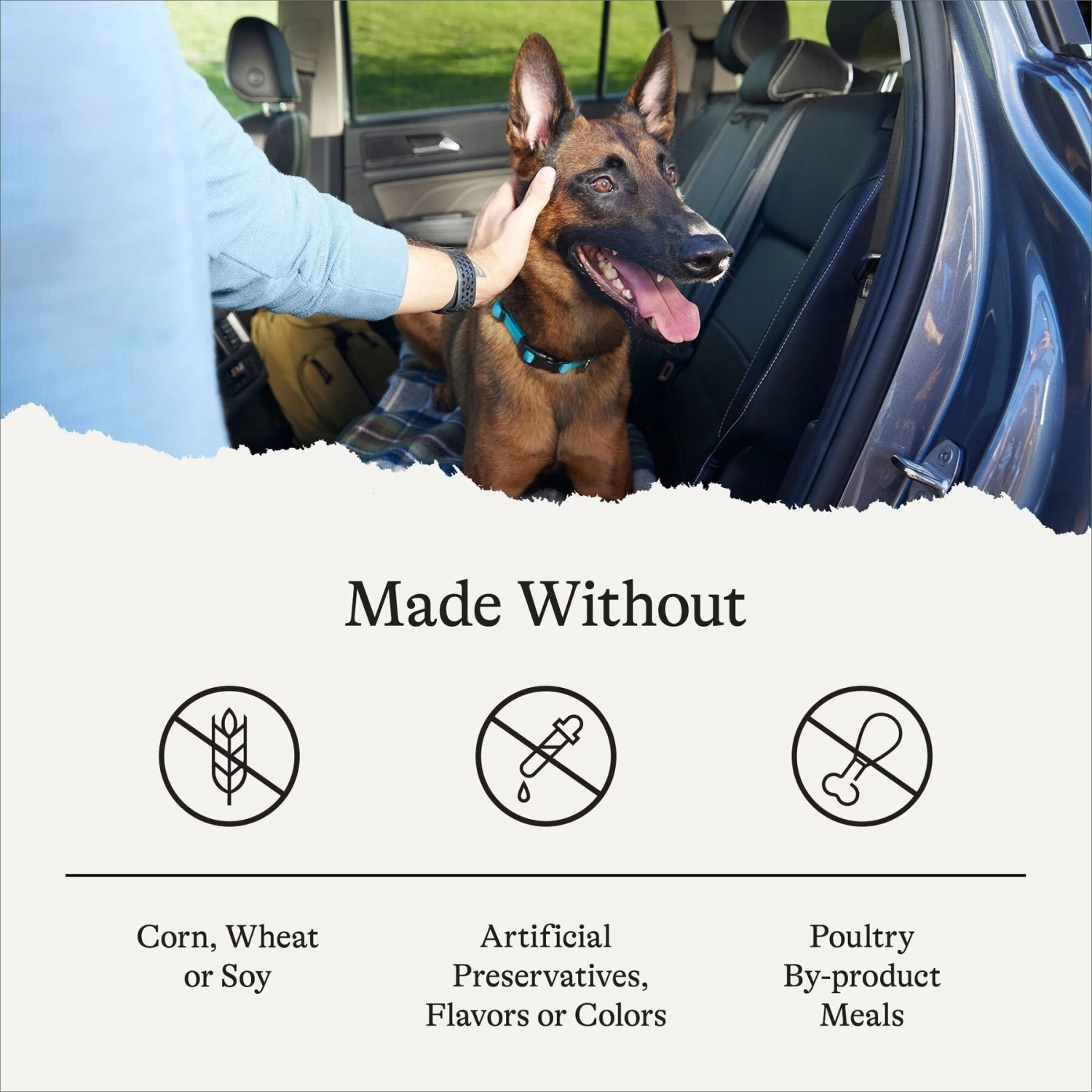 American Journey Protein & Grains Senior Salmon, Brown Rice & Vegetables Recipe Dry Dog Food, 28-lb Bag 9 American Journey Protein & Grains Senior Salmon, Brown Rice & Vegetables Recipe Dry Dog Food, 28-lb Bag - Image 7