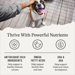 American Journey Protein & Grains Large Breed Puppy Chicken, Brown Rice & Vegetables Recipe Dry Dog Food, 28-lb Bag -Snuggle Paws 214833 PT4. AC SS1800 V1668737147