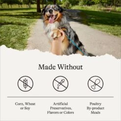 American Journey Protein & Grains Large Breed Puppy Chicken, Brown Rice & Vegetables Recipe Dry Dog Food, 28-lb Bag -Snuggle Paws 214833 PT6. AC SS1800 V1680624916