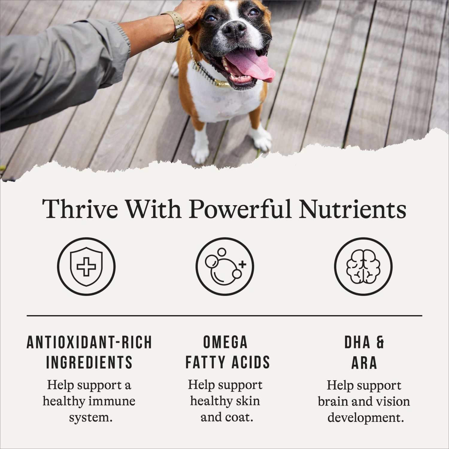 American Journey Protein & Grains Large Breed Puppy Salmon, Brown Rice & Vegetables Recipe Dry Dog Food, 28-lb Bag 7 American Journey Protein & Grains Large Breed Puppy Salmon, Brown Rice & Vegetables Recipe Dry Dog Food, 28-lb Bag - Image 5