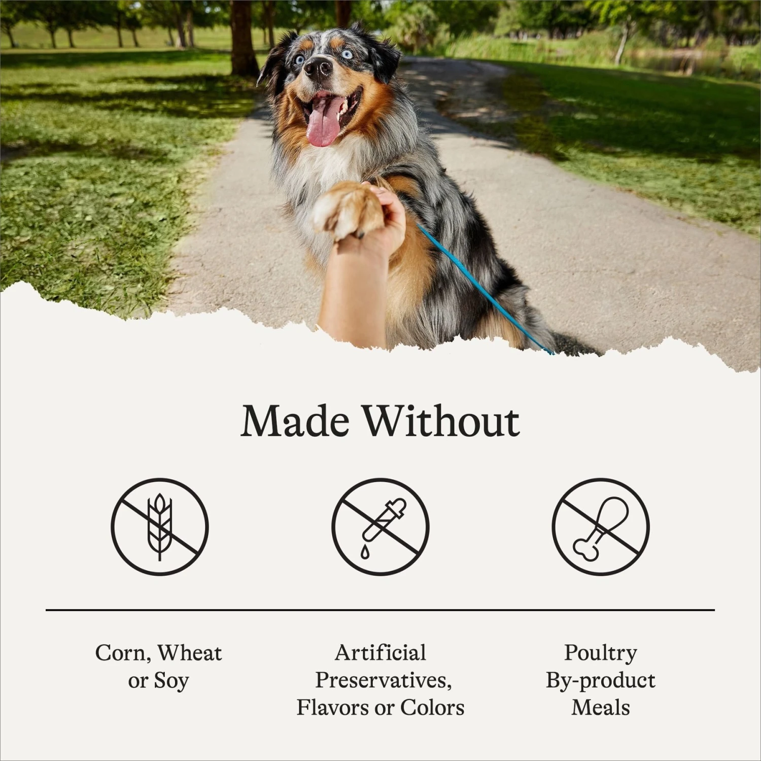 American Journey Protein & Grains Large Breed Puppy Salmon, Brown Rice & Vegetables Recipe Dry Dog Food, 28-lb Bag 9 American Journey Protein & Grains Large Breed Puppy Salmon, Brown Rice & Vegetables Recipe Dry Dog Food, 28-lb Bag - Image 7