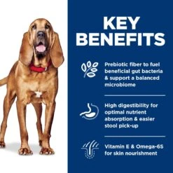 Hill's Science Diet Adult Sensitive Stomach & Skin Large Breed Chicken & Barley Recipe Dry Dog Food 15 Hill's Science Diet Adult Sensitive Stomach & Skin Large Breed Chicken & Barley Recipe Dry Dog Food -Snuggle Paws 215266 PT4. AC SS1800 V1635881499