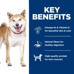 Hill's Science Diet Adult 1-6 Chicken & Brown Rice Recipe Dry Dog Food 15 Hill's Science Diet Adult 1-6 Chicken & Brown Rice Recipe Dry Dog Food -Snuggle Paws 215347 PT4. AC SS1800 V1602627092