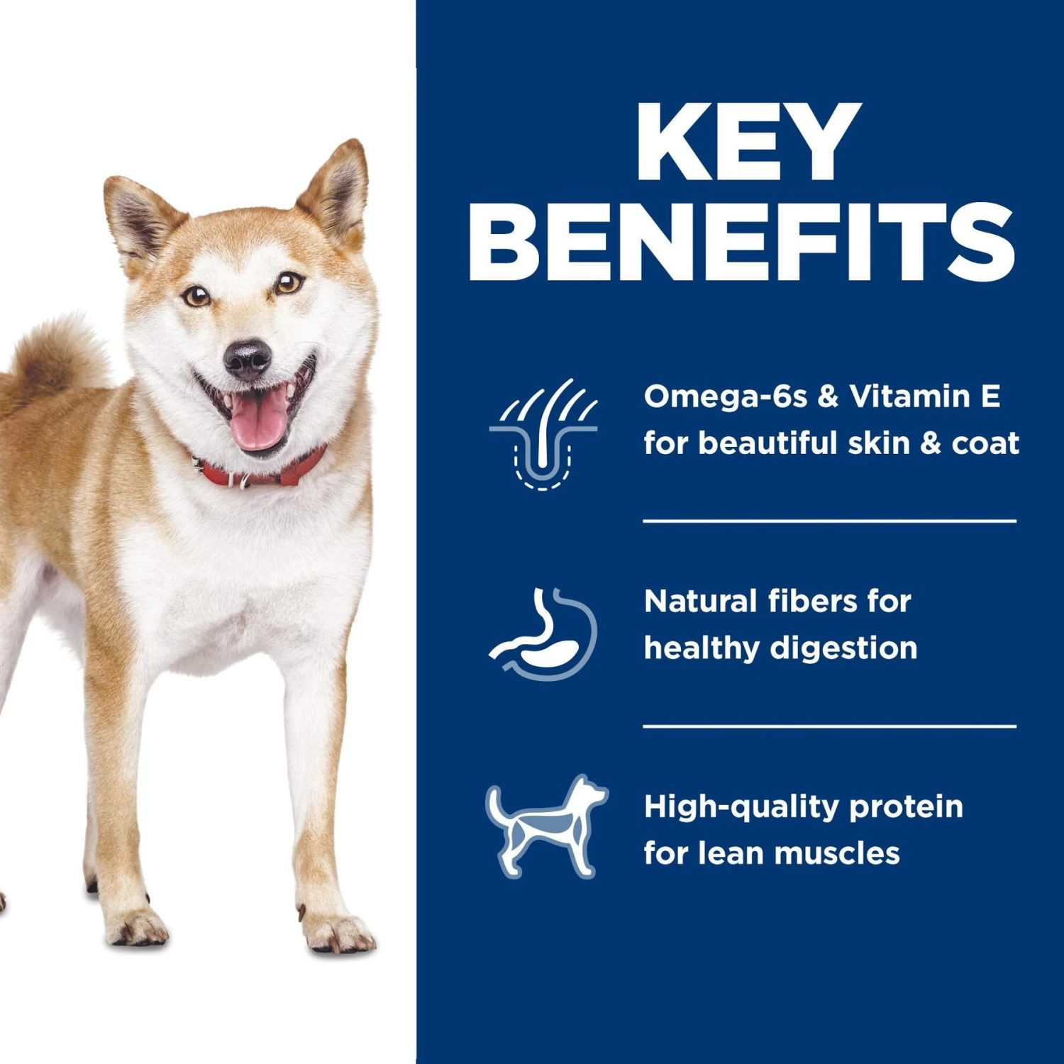 Hill's Science Diet Adult 1-6 Chicken & Brown Rice Recipe Dry Dog Food 7 Hill's Science Diet Adult 1-6 Chicken & Brown Rice Recipe Dry Dog Food - Image 5