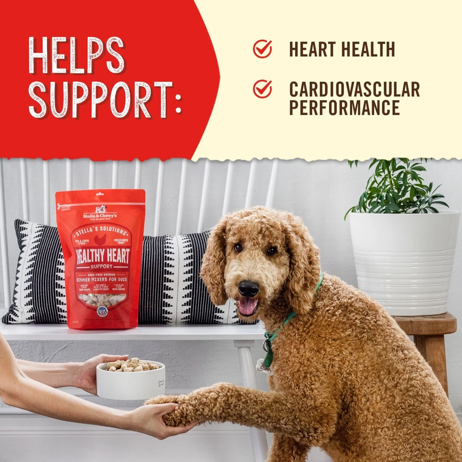 Stella & Chewy's Stella's Solutions Healthy Heart Support Chicken Freeze-Dried Raw Dog Food 6 Stella & Chewy's Stella's Solutions Healthy Heart Support Chicken Freeze-Dried Raw Dog Food - Image 4