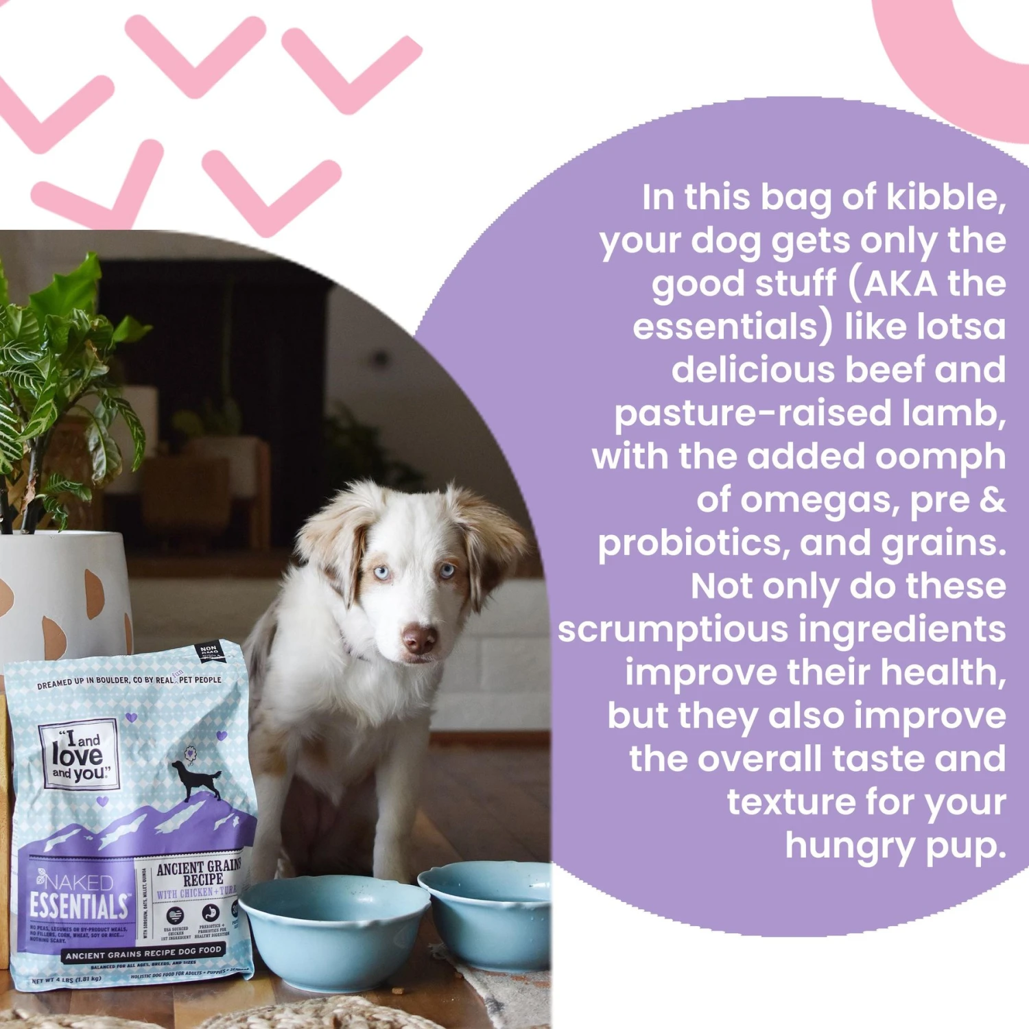 I And Love And You Naked Essentials Ancient Grain Chicken And Turkey Recipe Dry Dog Food 5 I And Love And You Naked Essentials Ancient Grain Chicken And Turkey Recipe Dry Dog Food - Image 3