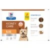 Hill's Prescription Diet K/d Kidney Care Variety Pack Wet & Dry Dog Food -Snuggle Paws 217399 MAIN. AC SS1800 V1698441048