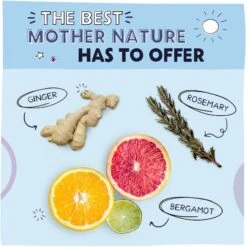 Pawstruck No-Rinse Dog, Cat & Horse Shampoo, 16-oz Bottle -Snuggle Paws 217528 PT3. AC SS1800 V1580828885