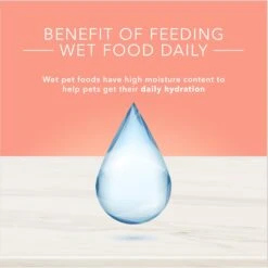 Blue Buffalo True Solutions Healthy Weight Natural Weight Control Chicken Adult Wet Dog Food -Snuggle Paws 218278 PT6. AC SS1800 V1676653189