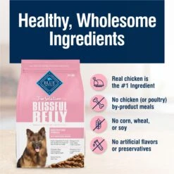 Blue Buffalo True Solutions Blissful Belly Digestive Care Formula Dry Dog Food 15 Blue Buffalo True Solutions Blissful Belly Digestive Care Formula Dry Dog Food -Snuggle Paws 218287 PT5. AC SS1800 V1696450047