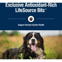 Blue Buffalo True Solutions Blissful Belly Digestive Care Formula Dry Dog Food 16 Blue Buffalo True Solutions Blissful Belly Digestive Care Formula Dry Dog Food -Snuggle Paws 218287 PT6. AC SS1800 V1696449661