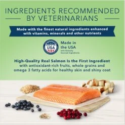 Blue Buffalo True Solutions Perfect Skin & Coat Natural Salmon Adult Dry Dog Food 13 Blue Buffalo True Solutions Perfect Skin & Coat Natural Salmon Adult Dry Dog Food -Snuggle Paws 218298 PT3. AC SS1800 V1696451639