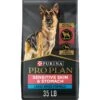 Purina Pro Plan Sensitive Skin & Stomach Salmon Adult Large Breed Formula Dry Dog Food -Snuggle Paws 218811 MAIN. AC SS1800 V1700689687