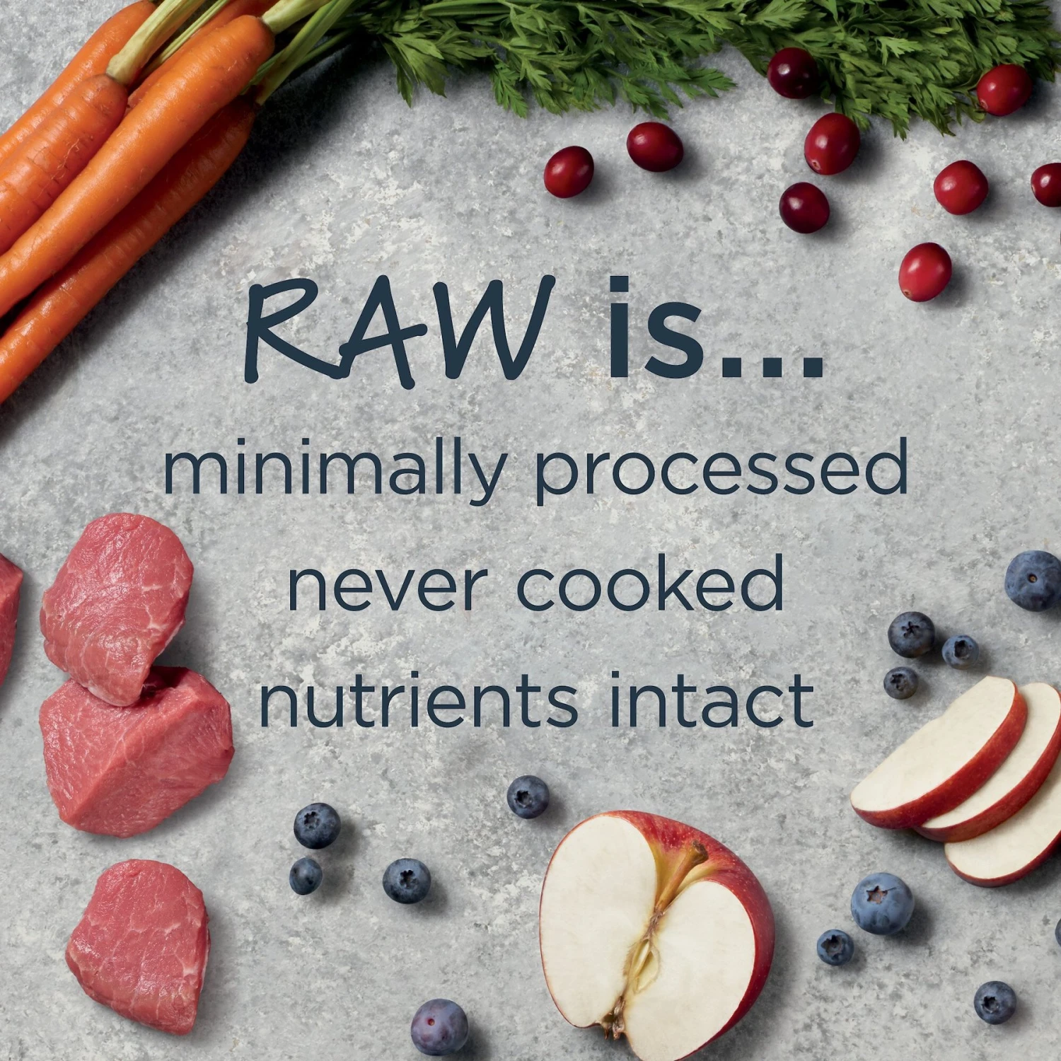 Instinct Raw Boost Whole Grain Real Lamb & Oatmeal Recipe Freeze-Dried Raw Coated Dry Dog Food 6 Instinct Raw Boost Whole Grain Real Lamb & Oatmeal Recipe Freeze-Dried Raw Coated Dry Dog Food - Image 4