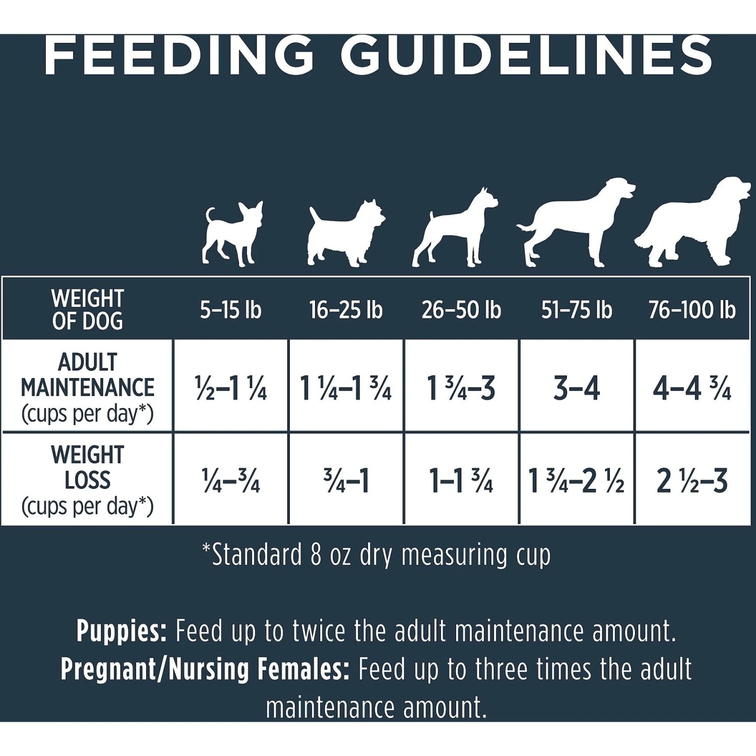 Instinct Raw Boost Whole Grain Real Lamb & Oatmeal Recipe Freeze-Dried Raw Coated Dry Dog Food 10 Instinct Raw Boost Whole Grain Real Lamb & Oatmeal Recipe Freeze-Dried Raw Coated Dry Dog Food - Image 8