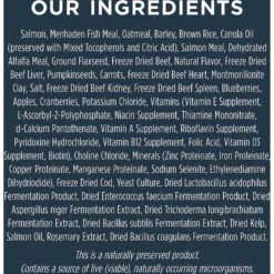 Instinct Raw Boost Whole Grain Real Salmon & Brown Rice Recipe Freeze-Dried Raw Coated Dry Dog Food 16 Instinct Raw Boost Whole Grain Real Salmon & Brown Rice Recipe Freeze-Dried Raw Coated Dry Dog Food -Snuggle Paws 219432 PT5. AC SS1800 V1583521491