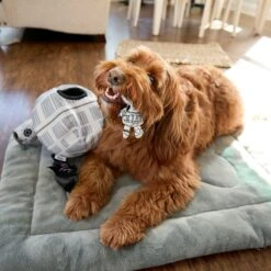 STAR WARS DEATH STAR Hide & Seek Puzzle Plush Squeaky Dog Toy -Snuggle Paws 220665 PT3. AC SS1800 V1682541054