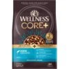 Wellness CORE RawRev Wholesome Grains Ocean Recipe High Protein Dry Dog Food -Snuggle Paws 222314 MAIN. AC SS1800 V1585146383