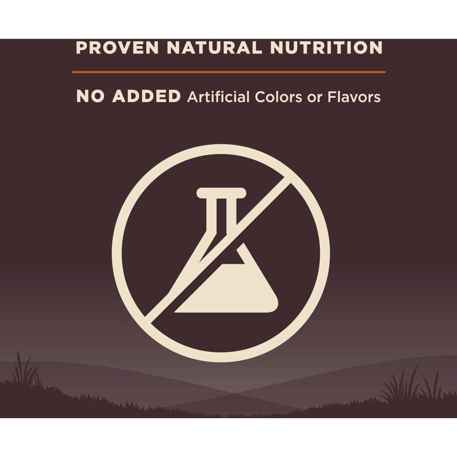 Wellness CORE Wholesome Grains Original Recipe High Protein Dry Dog Food 8 Wellness CORE Wholesome Grains Original Recipe High Protein Dry Dog Food - Image 6