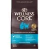 Wellness CORE Wholesome Grains Ocean Recipe High Protein Dry Dog Food 1 Wellness CORE Wholesome Grains Ocean Recipe High Protein Dry Dog Food -Snuggle Paws 222320 MAIN. AC SS1800 V1642468621