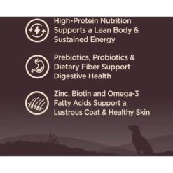 Wellness CORE Wholesome Grains Ocean Recipe High Protein Dry Dog Food 10 Wellness CORE Wholesome Grains Ocean Recipe High Protein Dry Dog Food -Snuggle Paws 222320 PT2. AC SS1800 V1677612892