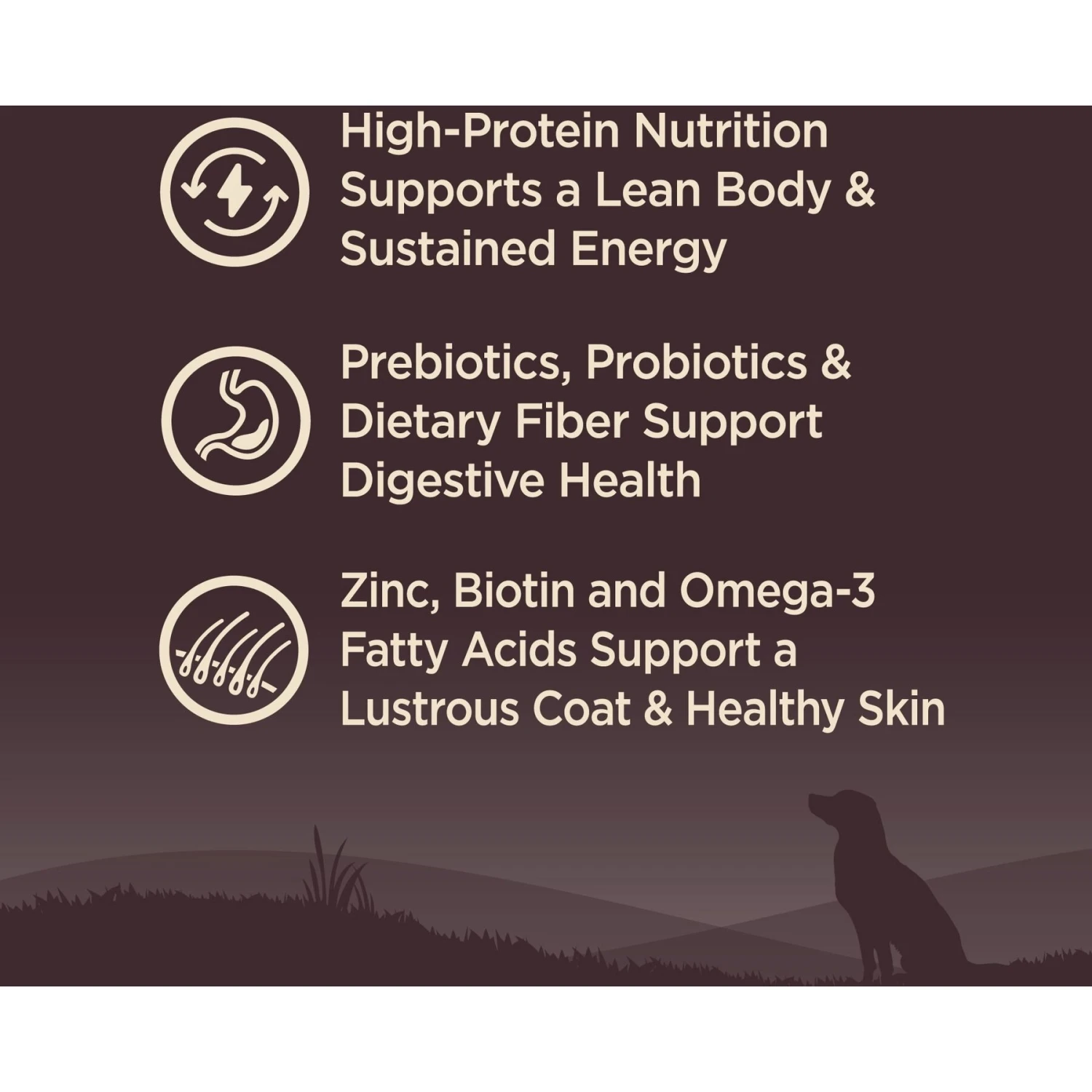 Wellness CORE Wholesome Grains Ocean Recipe High Protein Dry Dog Food 5 Wellness CORE Wholesome Grains Ocean Recipe High Protein Dry Dog Food - Image 3