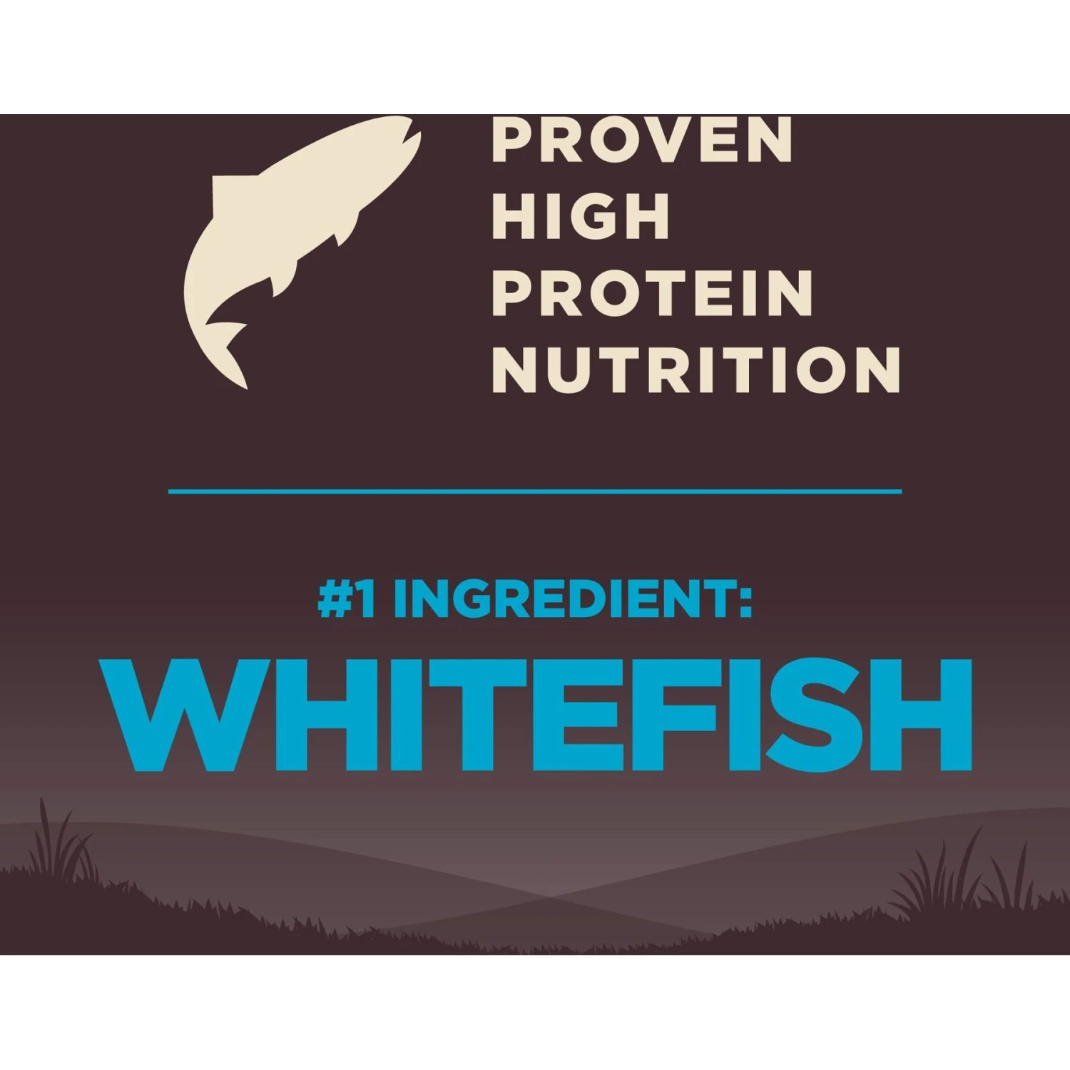 Wellness CORE Wholesome Grains Ocean Recipe High Protein Dry Dog Food 6 Wellness CORE Wholesome Grains Ocean Recipe High Protein Dry Dog Food - Image 4