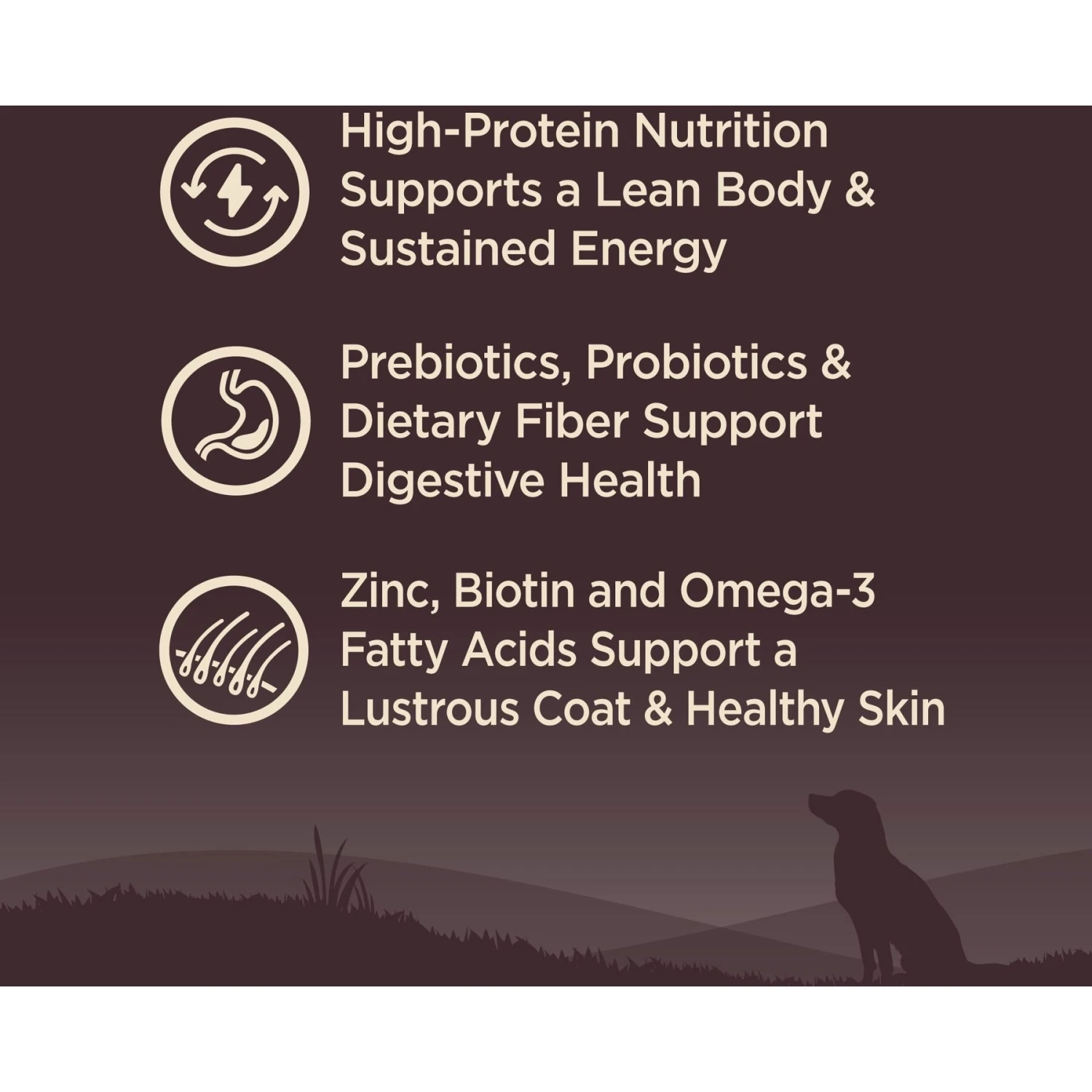 Wellness CORE Wholesome Grains Small Breed Original Recipe High Protein Dry Dog Food 5 Wellness CORE Wholesome Grains Small Breed Original Recipe High Protein Dry Dog Food - Image 3