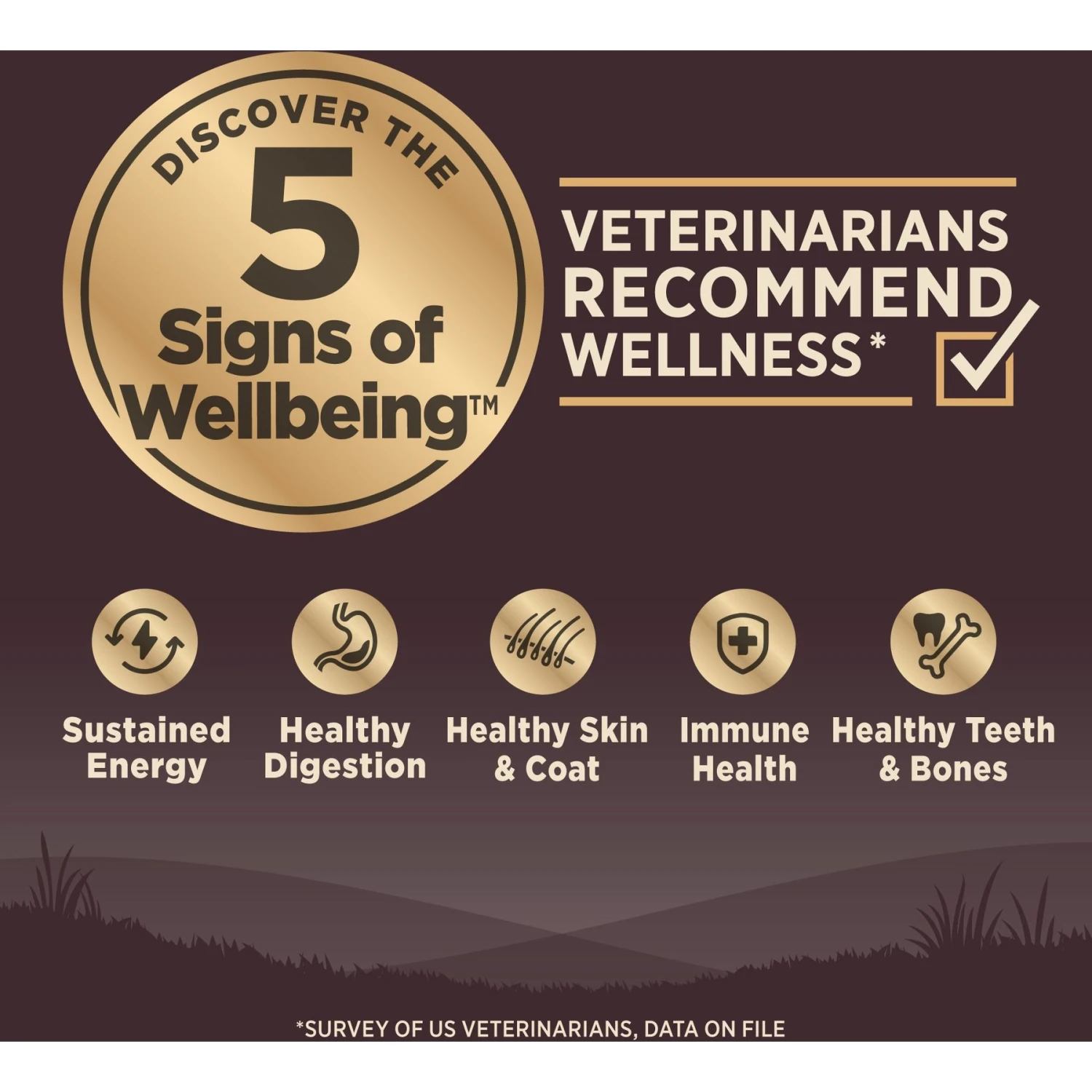 Wellness CORE Wholesome Grains Small Breed Original Recipe High Protein Dry Dog Food 6 Wellness CORE Wholesome Grains Small Breed Original Recipe High Protein Dry Dog Food - Image 4