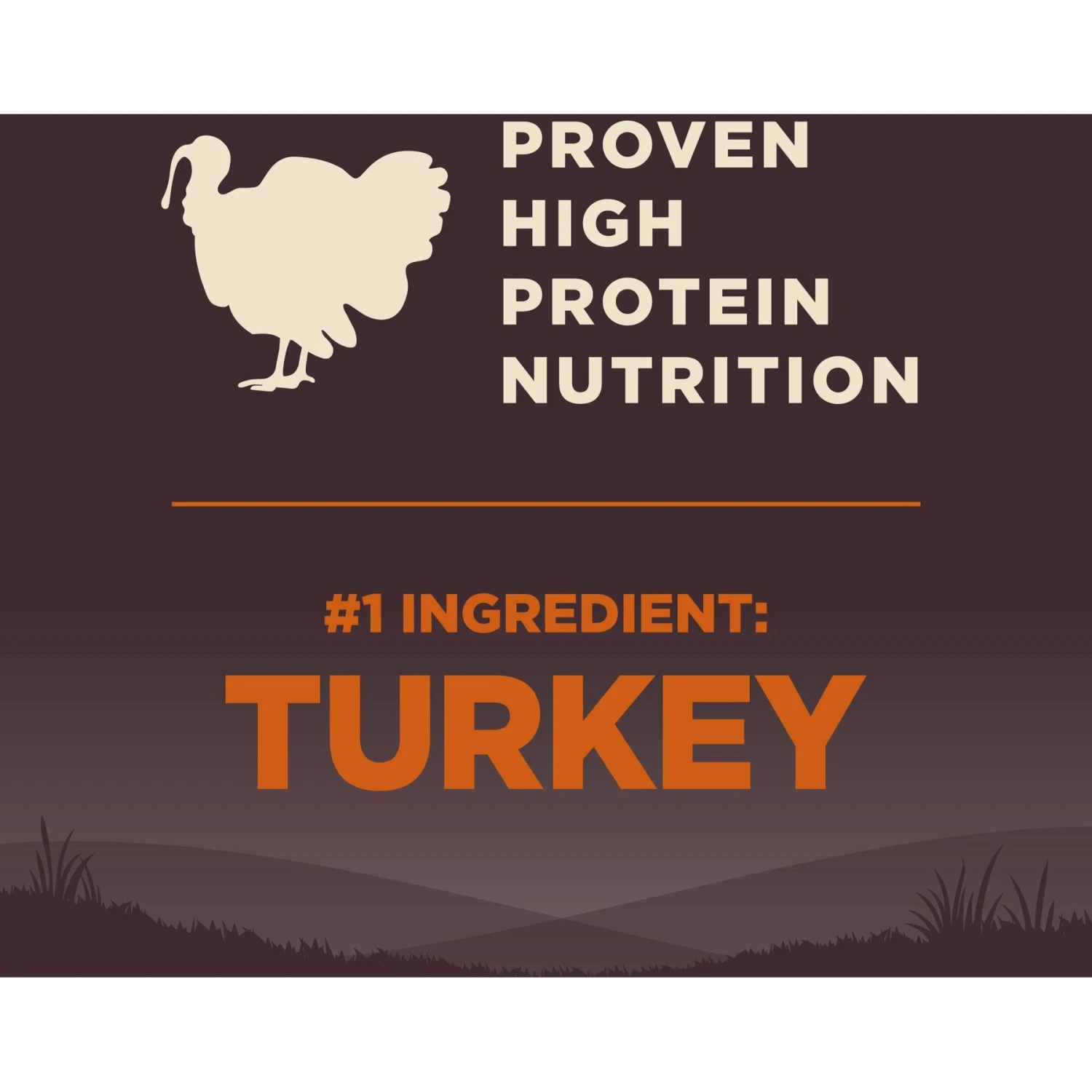 Wellness CORE Wholesome Grains Small Breed Original Recipe High Protein Dry Dog Food 7 Wellness CORE Wholesome Grains Small Breed Original Recipe High Protein Dry Dog Food - Image 5