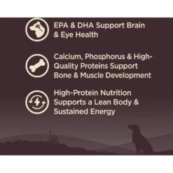 Wellness CORE Wholesome Grains Puppy High Protein Dry Dog Food 11 Wellness CORE Wholesome Grains Puppy High Protein Dry Dog Food -Snuggle Paws 222326 PT2. AC SS1800 V1677612891