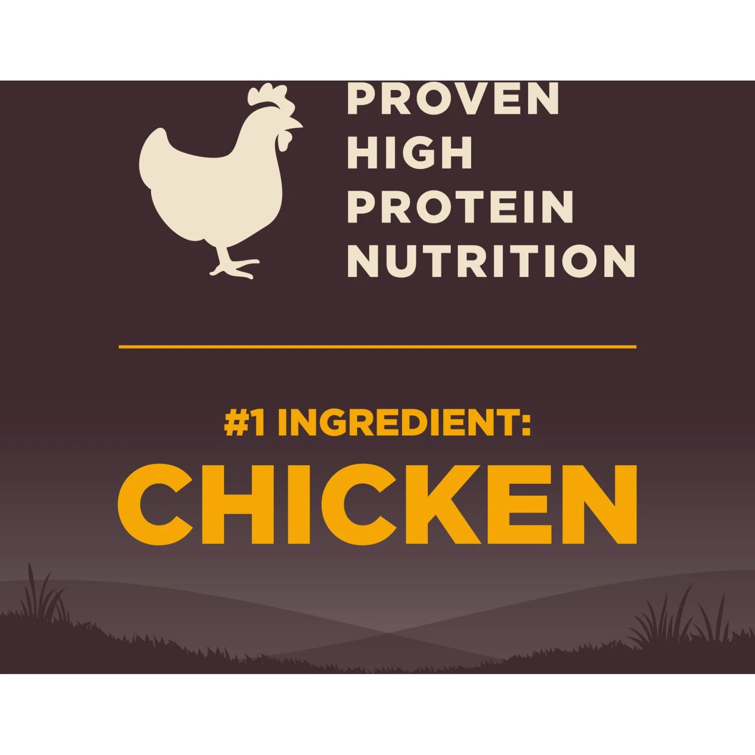 Wellness CORE Wholesome Grains Puppy High Protein Dry Dog Food 7 Wellness CORE Wholesome Grains Puppy High Protein Dry Dog Food - Image 5