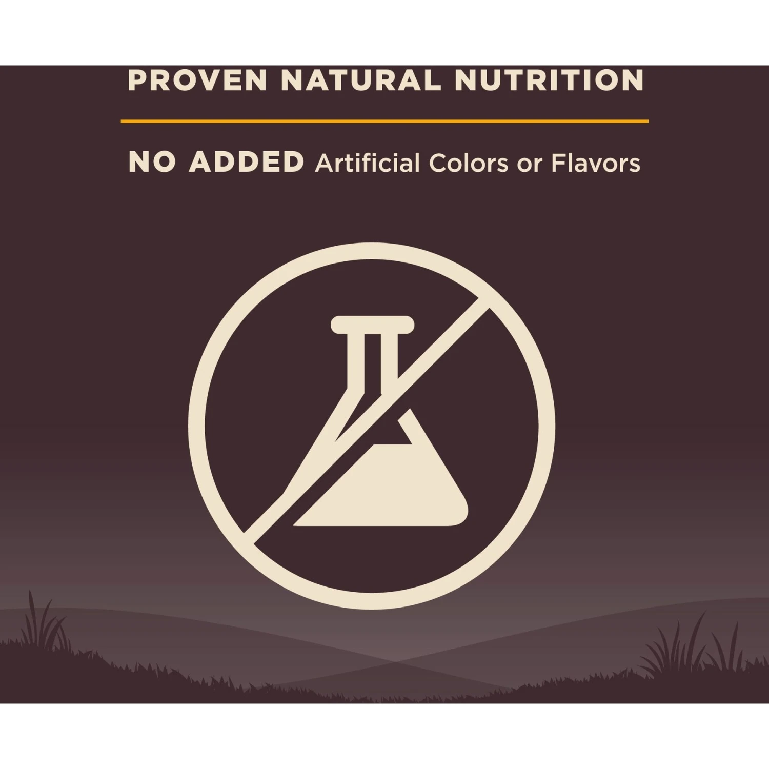 Wellness CORE Wholesome Grains Puppy High Protein Dry Dog Food 8 Wellness CORE Wholesome Grains Puppy High Protein Dry Dog Food - Image 6