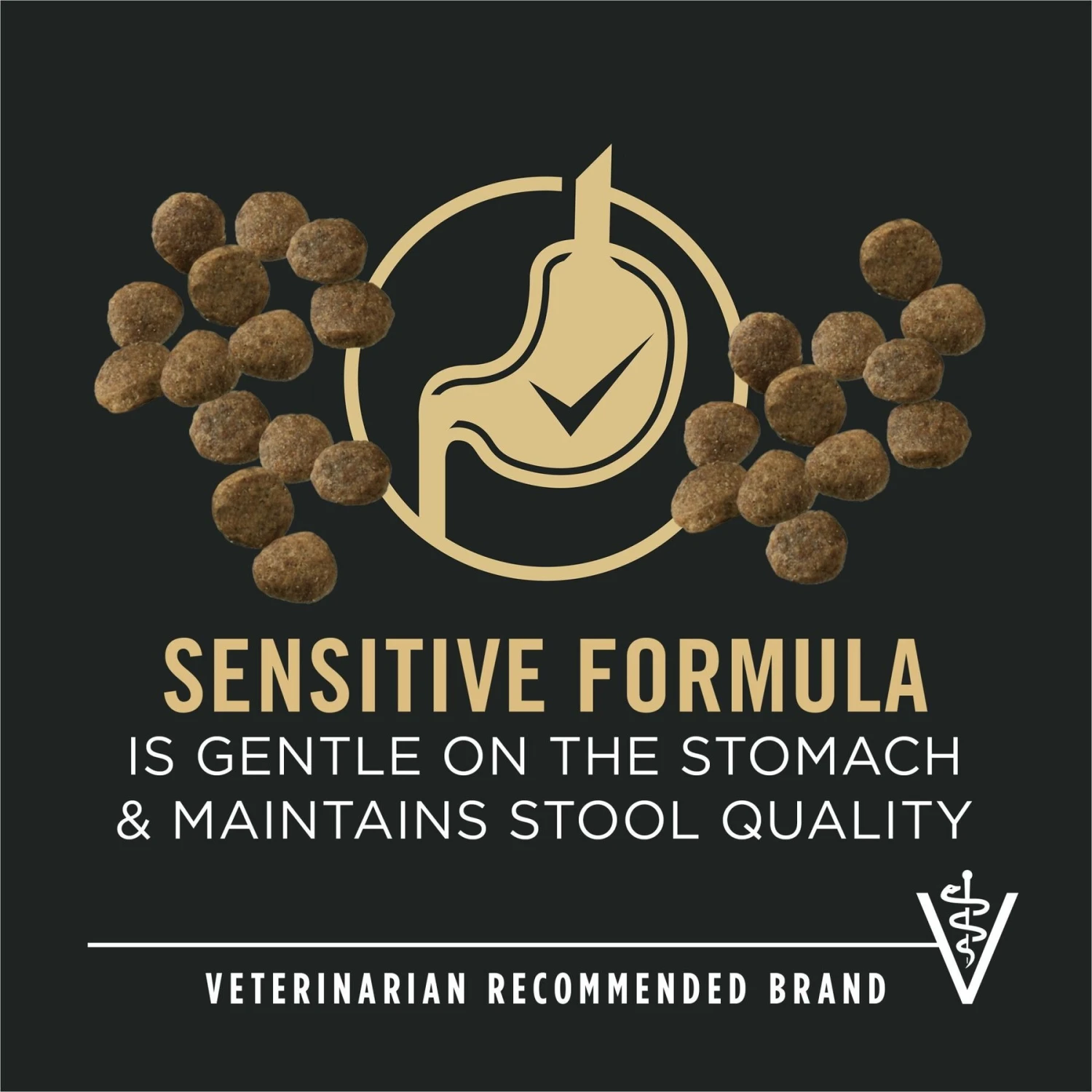 Purina Pro Plan Puppy Sensitive Skin & Stomach Salmon & Rice Dry Dog Food 5 Purina Pro Plan Puppy Sensitive Skin & Stomach Salmon & Rice Dry Dog Food - Image 3