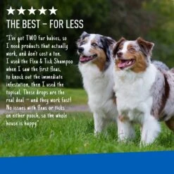 Adams® Adams Flea & Tick Spot Treatment For Dogs, 61-150 Lbs -Snuggle Paws 224450 PT6. AC SS1800 V1679080717