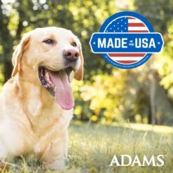 Adams® Adams Plus Flea & Tick Aloe & Cucumber Scent Sensitive Skin Foaming Dog Shampoo, 10-oz Bottle 19 Adams® Adams Plus Flea & Tick Aloe & Cucumber Scent Sensitive Skin Foaming Dog Shampoo, 10-oz Bottle -Snuggle Paws 226148 PT8. AC SS1800 V1658885566