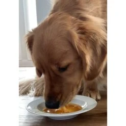 Caru Daily Dish Chicken Broth Human-Grade Dog & Cat Wet Food Topper, 1.1-lb Bottle -Snuggle Paws 227867 PT3. AC SS1800 V1700598715