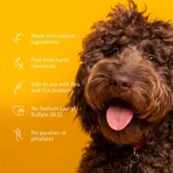 ARM & HAMMER PRODUCTS Kiwi Blossom Super Deodorizing Dog Spray, 8-oz Bottle -Snuggle Paws 227887 PT4. AC SS1800 V1584976883