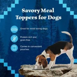 Blue Buffalo Wilderness Trail Toppers Wild Cuts Variety Pack Chunky Chicken & Beef Bites In Gravy Grain-Free Dog Food Topper, 3-oz, Pouch Of 12 -Snuggle Paws 228599 PT3. AC SS1800 V1689357639