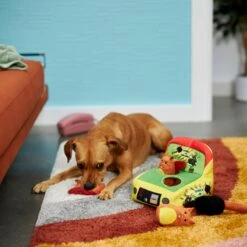 Frisco Retro Smack-a-Squirrel Hide & Seek Puzzle Plush Squeaky Dog Toy -Snuggle Paws 230313 PT3. AC SS1800 V1601947334