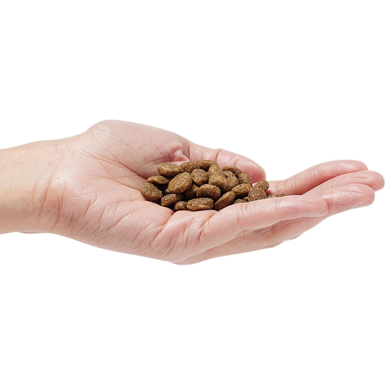 Dr. Pol Healthy Balance Salmon Recipe Grain-Free Dry Dog Food 5 Dr. Pol Healthy Balance Salmon Recipe Grain-Free Dry Dog Food - Image 3