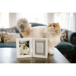 Pearhead Pawprints Desk Frame, 4 X 6-in -Snuggle Paws 233347 PT4. AC SS1800 V1630453878
