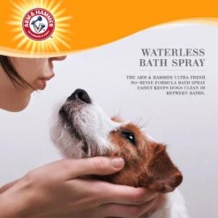 Arm & Hammer Products Waterless Bath Wild Jasmine Dog Spray, 10-oz Bottle -Snuggle Paws 233989 PT2. AC SS1800 V1607475144